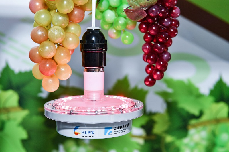 工研院針對農作物成長需要的特定光譜，透過軟硬整合技術發展為「LED智慧光源系統模組」，不僅降低電費，還提升葡萄甜度。