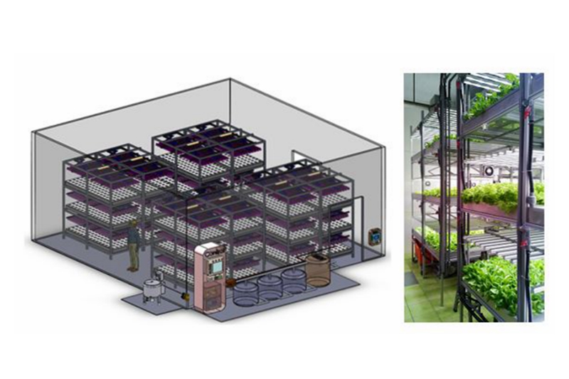 客製化水耕栽培與環控系統設計與建置。