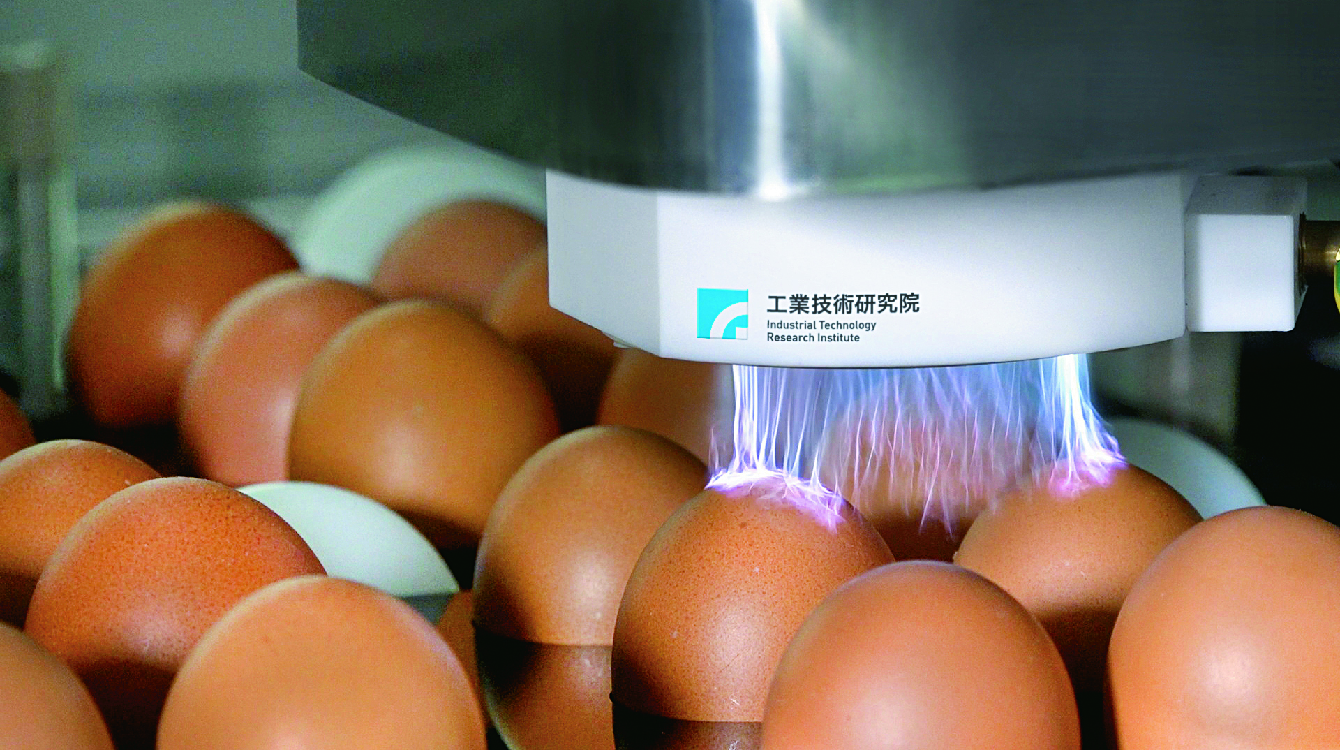 工研院研發的大氣電漿技術，應用於雞蛋殺菌流程，可保護消費者不受病菌侵襲。