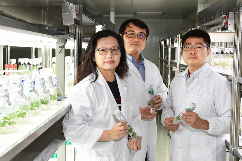 工研院以植物藥技術平台開發出乾癬用植物新藥「PTB323X」，突破植物藥研發瓶頸，同時解決類固醇高副作用問題，造福廣大病友。