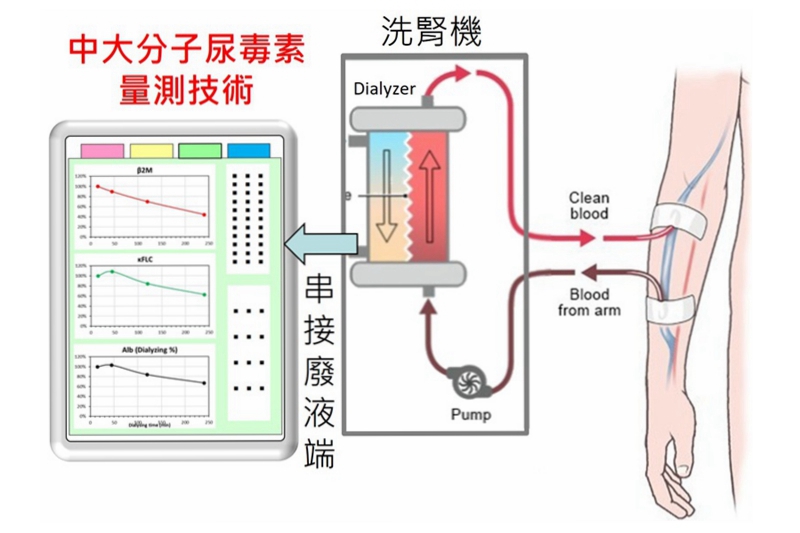 中大分子尿毒素量測技術