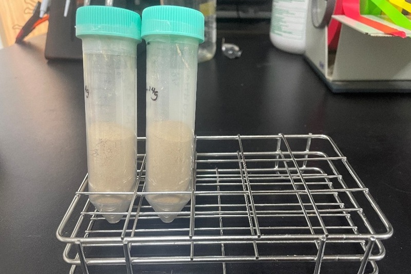植物前處理破壁技術與多醣類低熱萃取技術