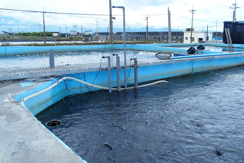 水產養殖設施感測聯網系統
