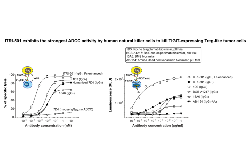 ITRI-501 exhibits the strongest ADCC activity by human natural killer cells to kill TIGIT-expressing Treg-like tumor cells.