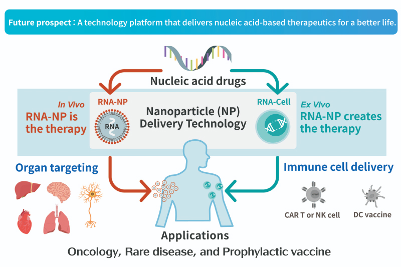 ITRI's lipid nanoparticles (LNP) for nucleic acid delivery and reusable nucleic acid synthesis technology are expected to establish a technology platform that delivers nucleic acid-based therapeutics for a better life in the future.